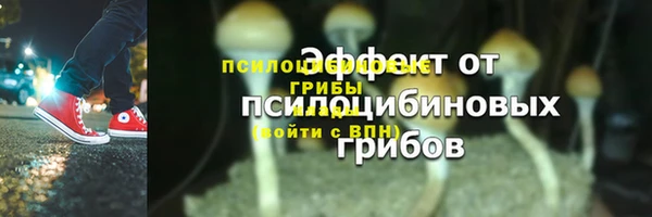 прущий лед Алексеевка