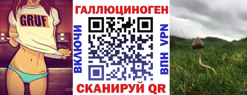 Галлюциногенные грибы Psilocybe  Николаевск-на-Амуре 